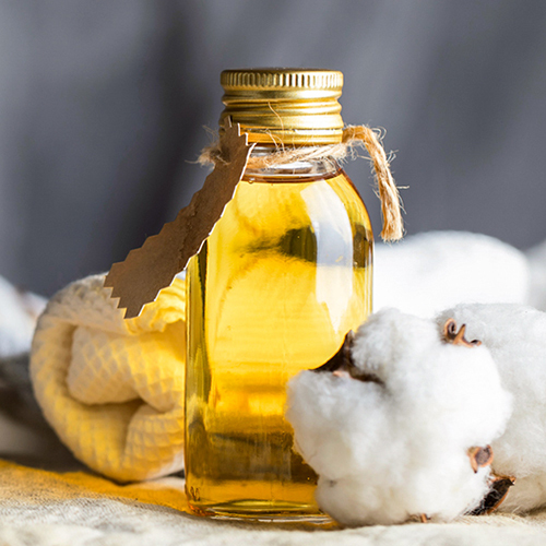 Cotton Seed Oil Plant