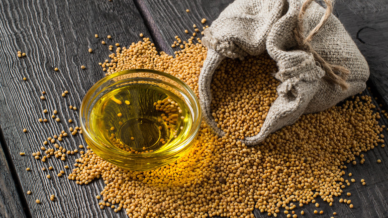 mustard oil plant 